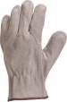 TC149 
(kd: TC149)
Venitex