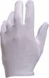 COB40 
(kd: COB40)
Venitex