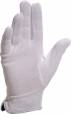 CPB60
(kd: CPB60)